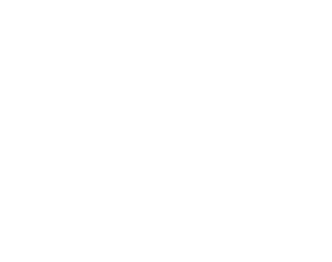 Abiz Mortgage Solutions, Inc